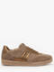 farro bronce