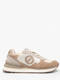 beige dove beige