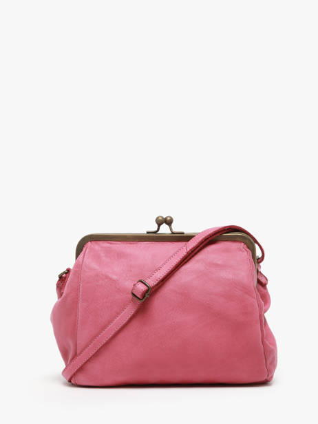 Sac Bandoulière Heritage Cuir Biba Rose heritage BT22 vue secondaire 3