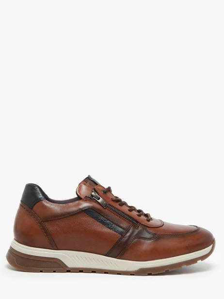 Sneakers Louis En Cuir Fluchos Marron men F1600