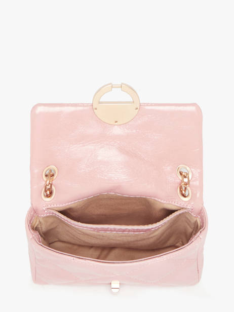 Sac Nano Moon En Cuir Vanessa bruno Rose moon 84V40326 vue secondaire 3