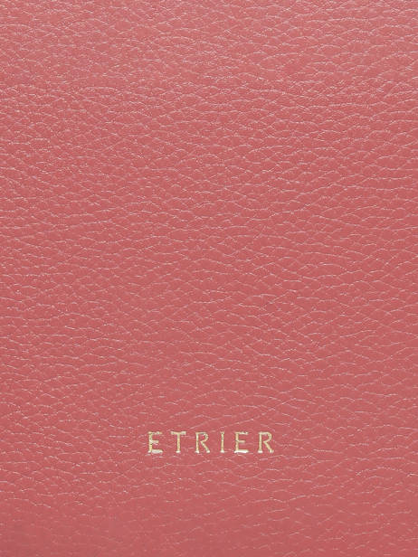 Sac Bandoulière Tradition Cuir Etrier Rose tradition ETRA189M vue secondaire 6