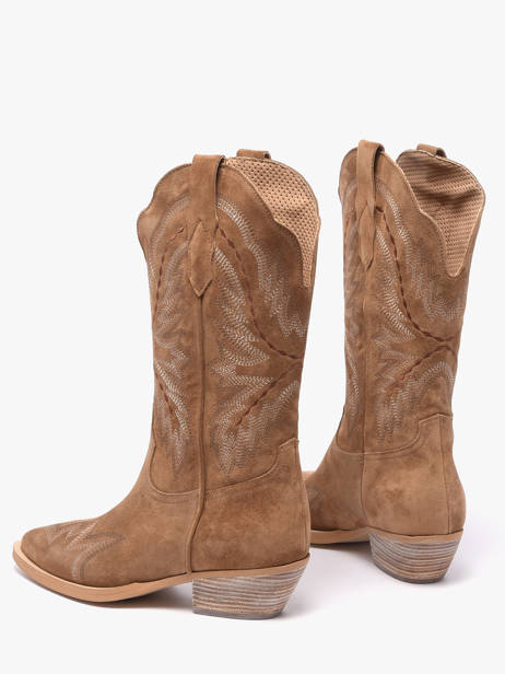 Santiags En Cuir Alpe Marron accessoires 52171101 vue secondaire 2