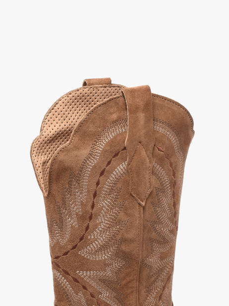 Santiags En Cuir Alpe Marron accessoires 52171101 vue secondaire 3