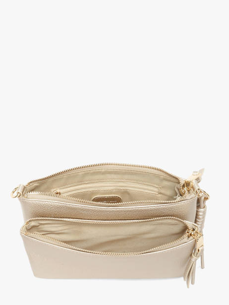 Sac Bandoulière Estée Laurent david Or ld bags 90 vue secondaire 2