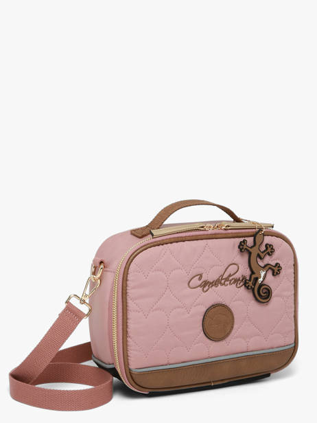 Sac Gouter Cameleon Marron vintage fantasy BL24 vue secondaire 3