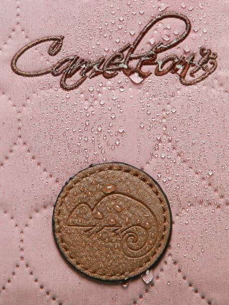Sac Gouter Cameleon Marron vintage fantasy BL24 vue secondaire 7