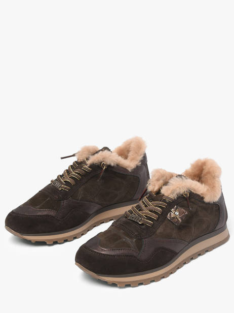 Sneakers Cetti Marron accessoires SRA vue secondaire 2