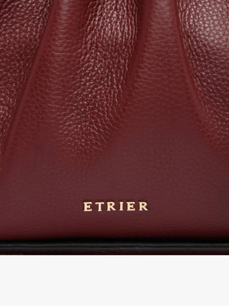 Sac Porté épaule Foudre Cuir Etrier Rouge foudre EFOD238M vue secondaire 4