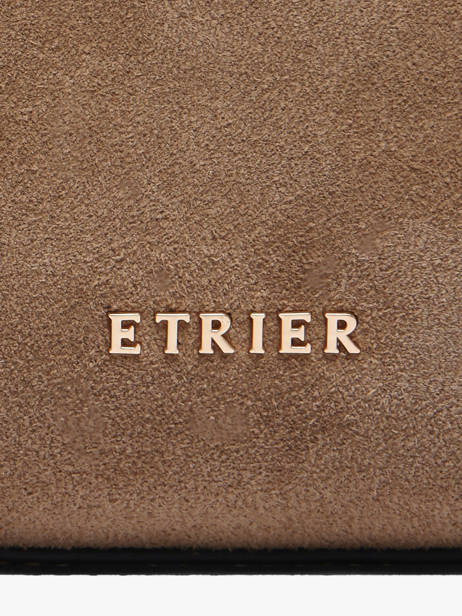 Sac Porté Main Sienne Cuir Etrier Marron sienne ESIN220S vue secondaire 4
