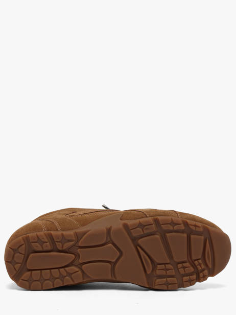 Sneakers Asiel En Cuir Steve madden Marron accessoires 11005159 vue secondaire 4